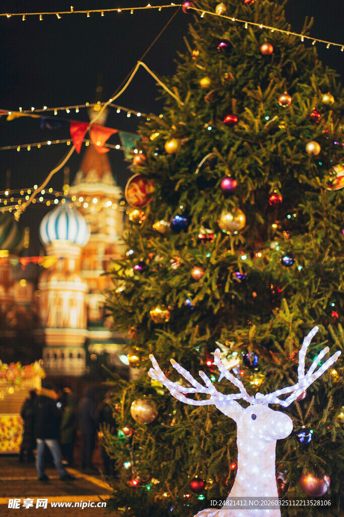圣诞夜景下的装饰与驯鹿