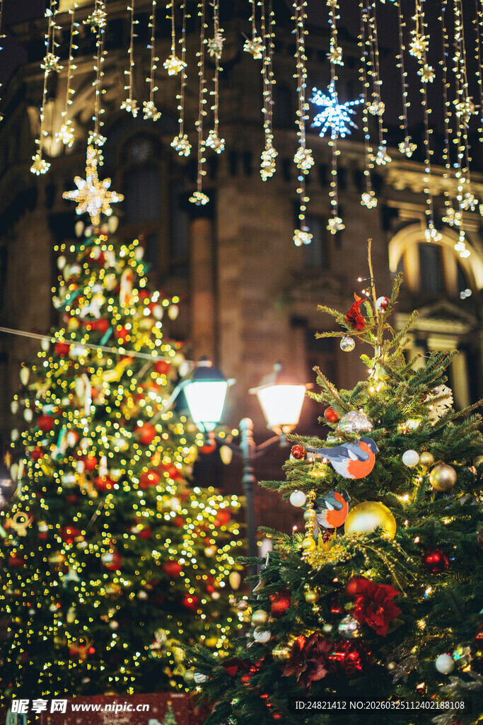 节日装饰的璀璨圣诞树