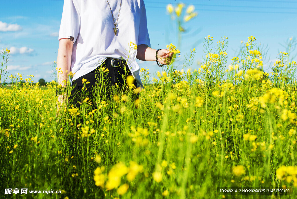亲子漫步于灿烂油菜花田