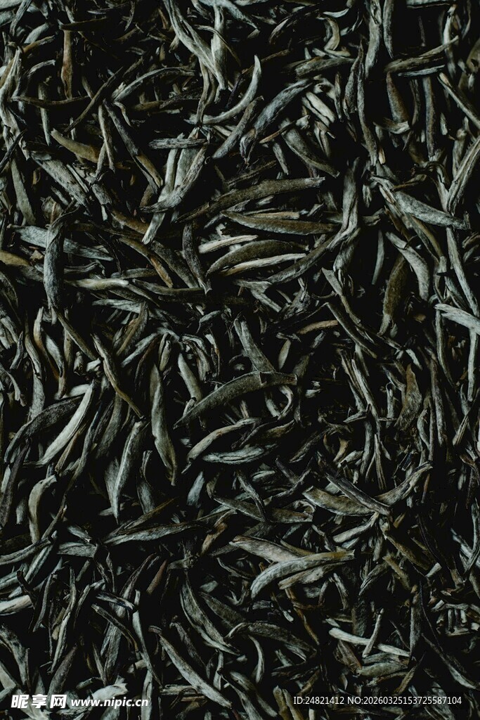 黑亮茶叶特写