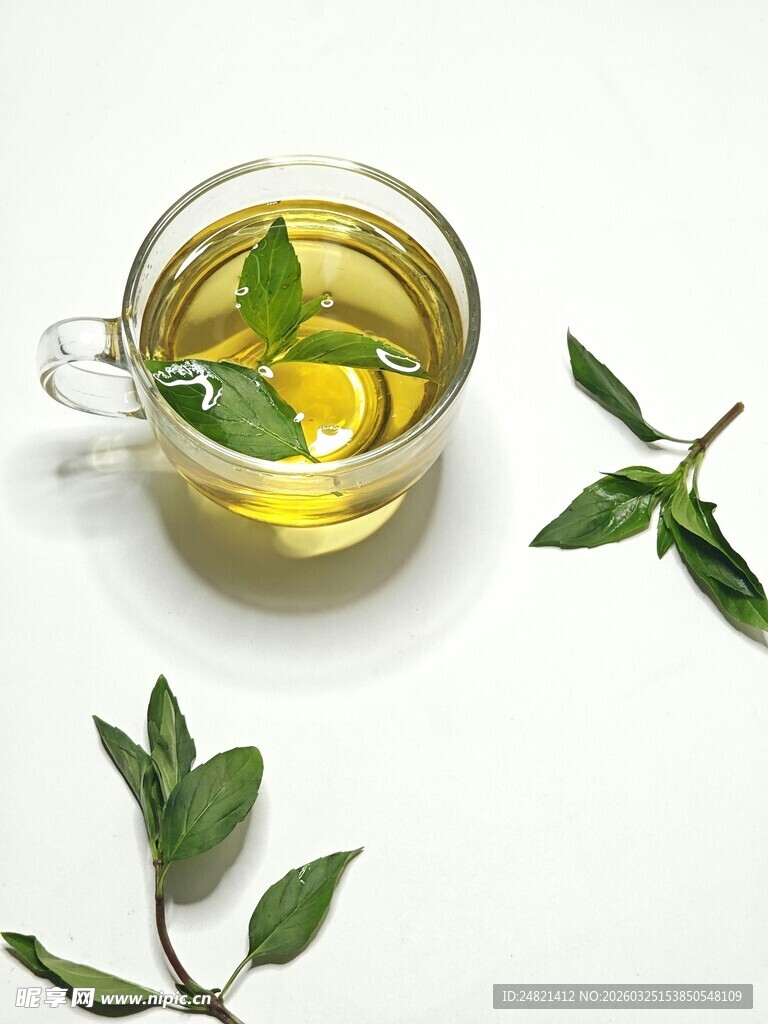 柠檬薄荷叶泡的清新茶饮