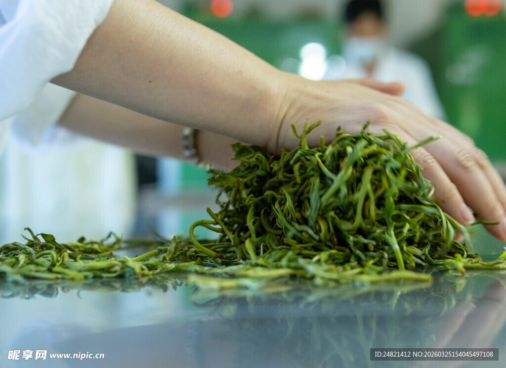 双手翻动嫩绿茶叶