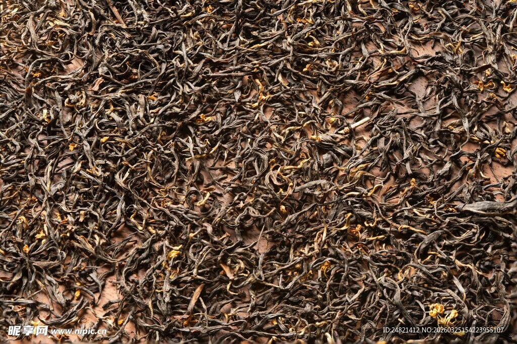 干燥土壤中的枯枝落叶