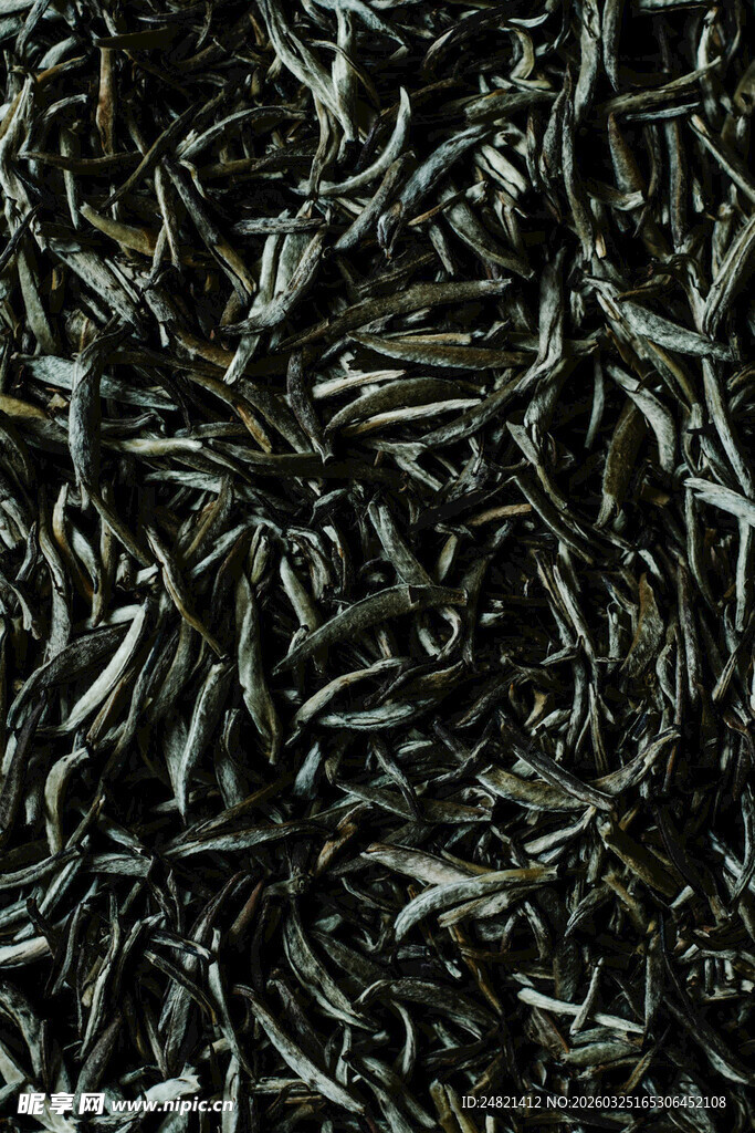 散装茶叶特写