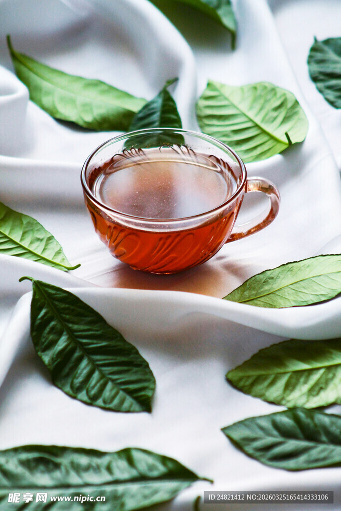 绿叶间的精致茶杯