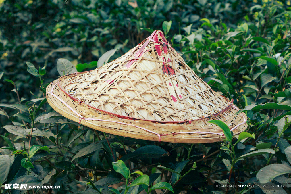 传统竹编斗笠置于绿叶间
