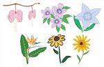 手绘清新花卉装饰图案