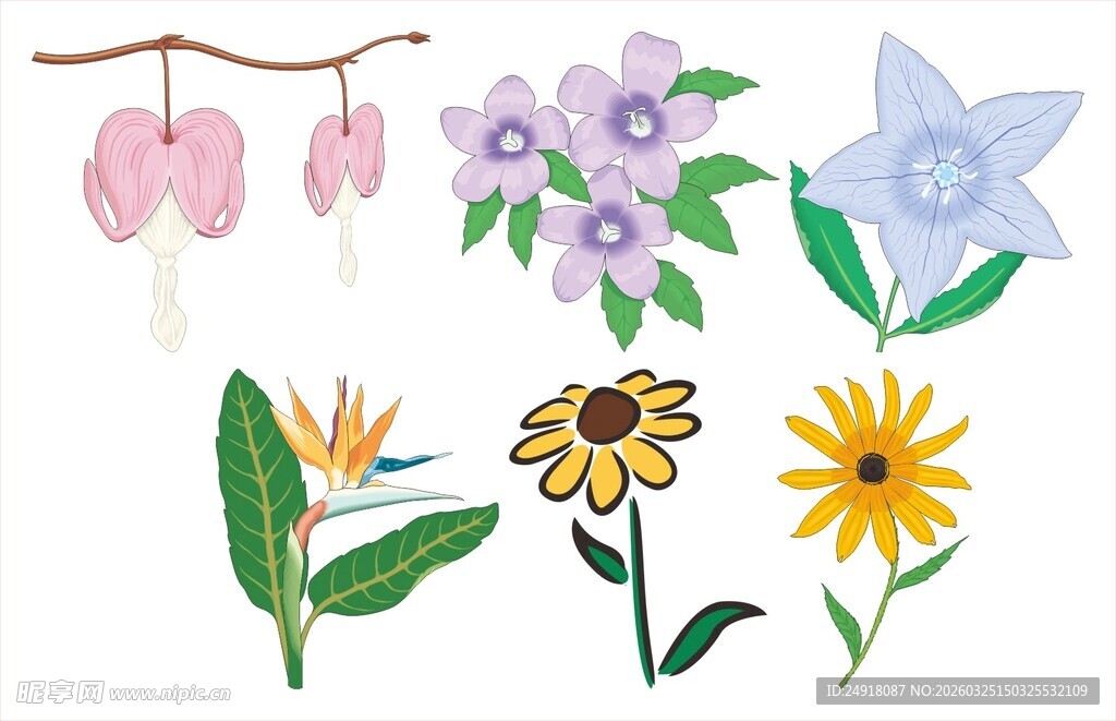 手绘清新花卉装饰图案