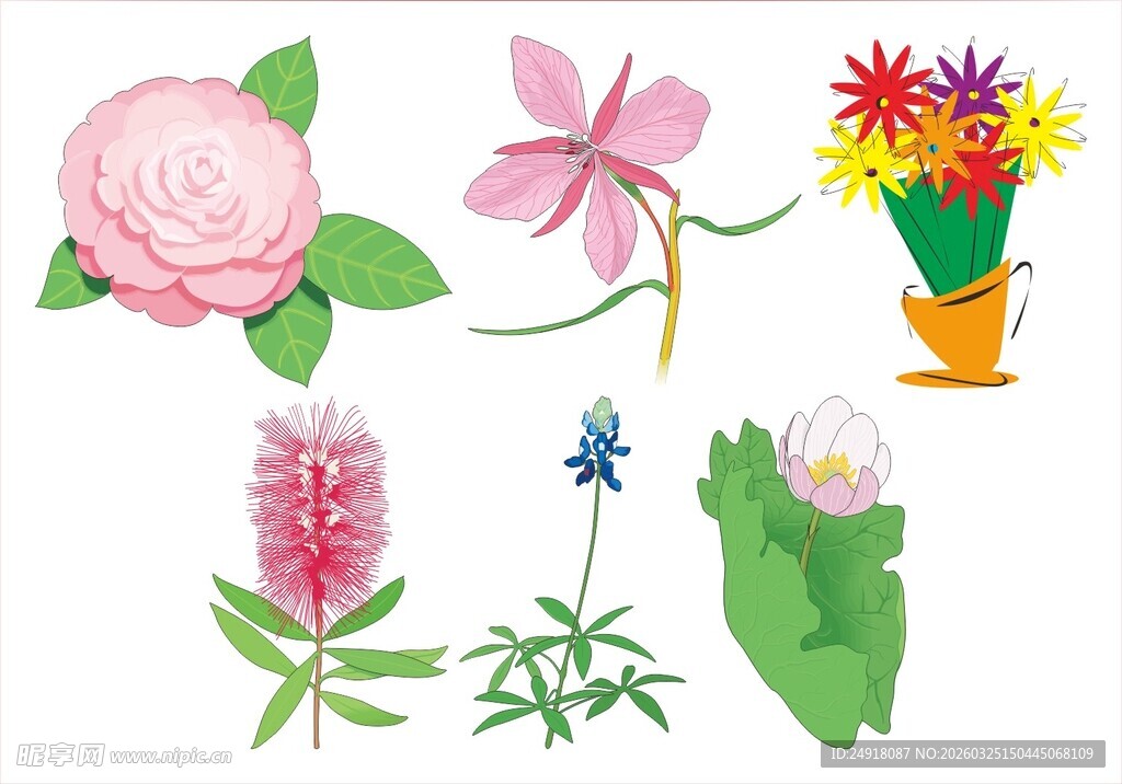 多彩花卉与蜻蜓插画