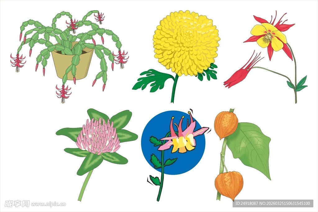 多彩花卉图案集合