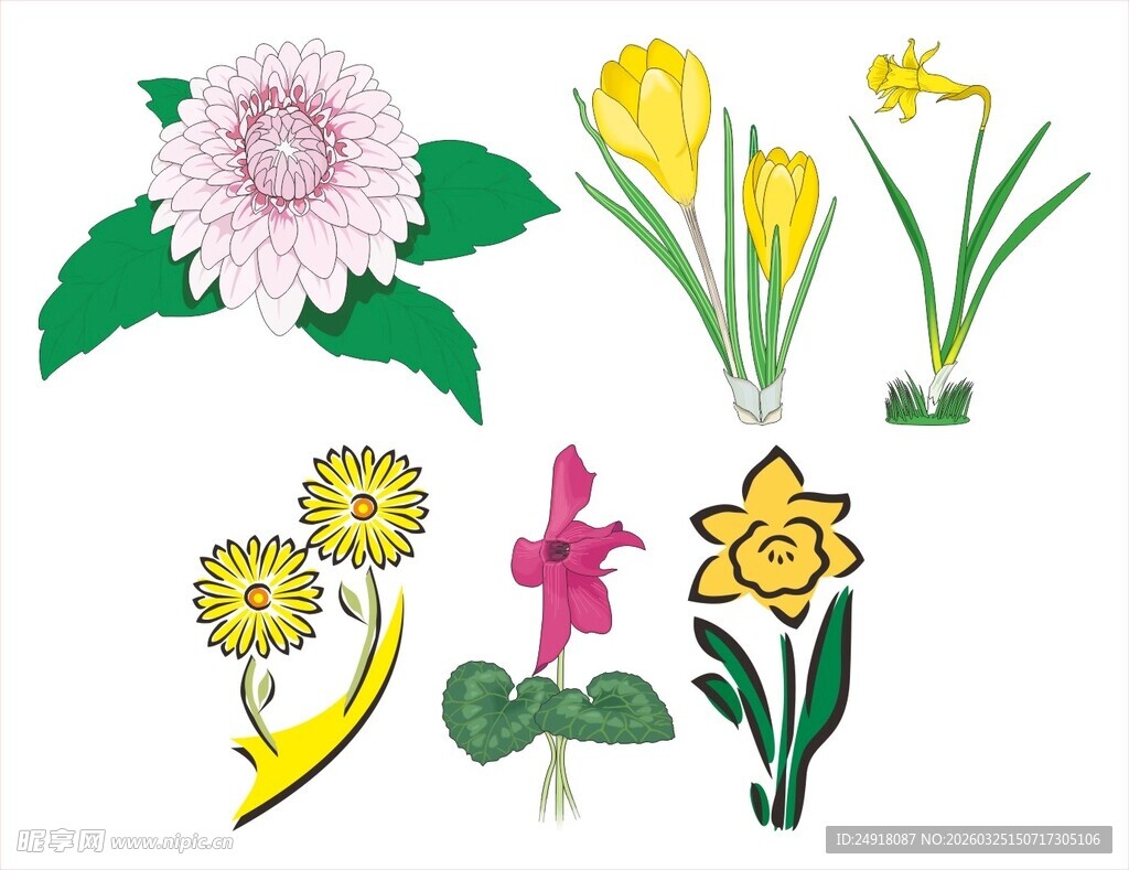 多彩花卉插画素材