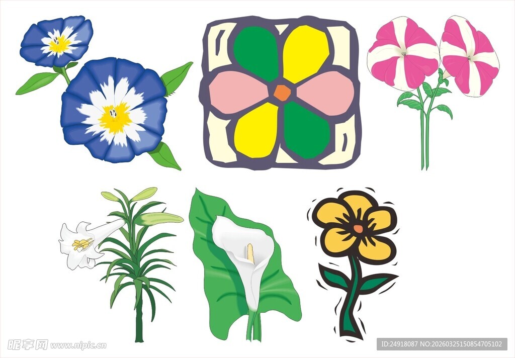 多彩手绘花卉植物图案