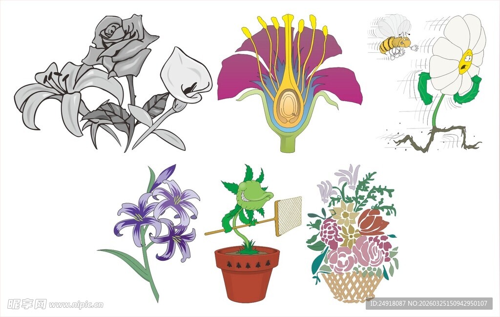 多样花卉卡通插画