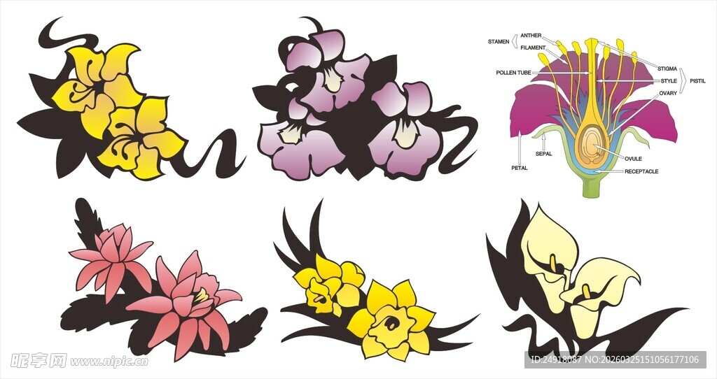 多彩花卉图案设计素材