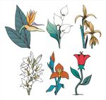 手绘多彩花卉植物图案