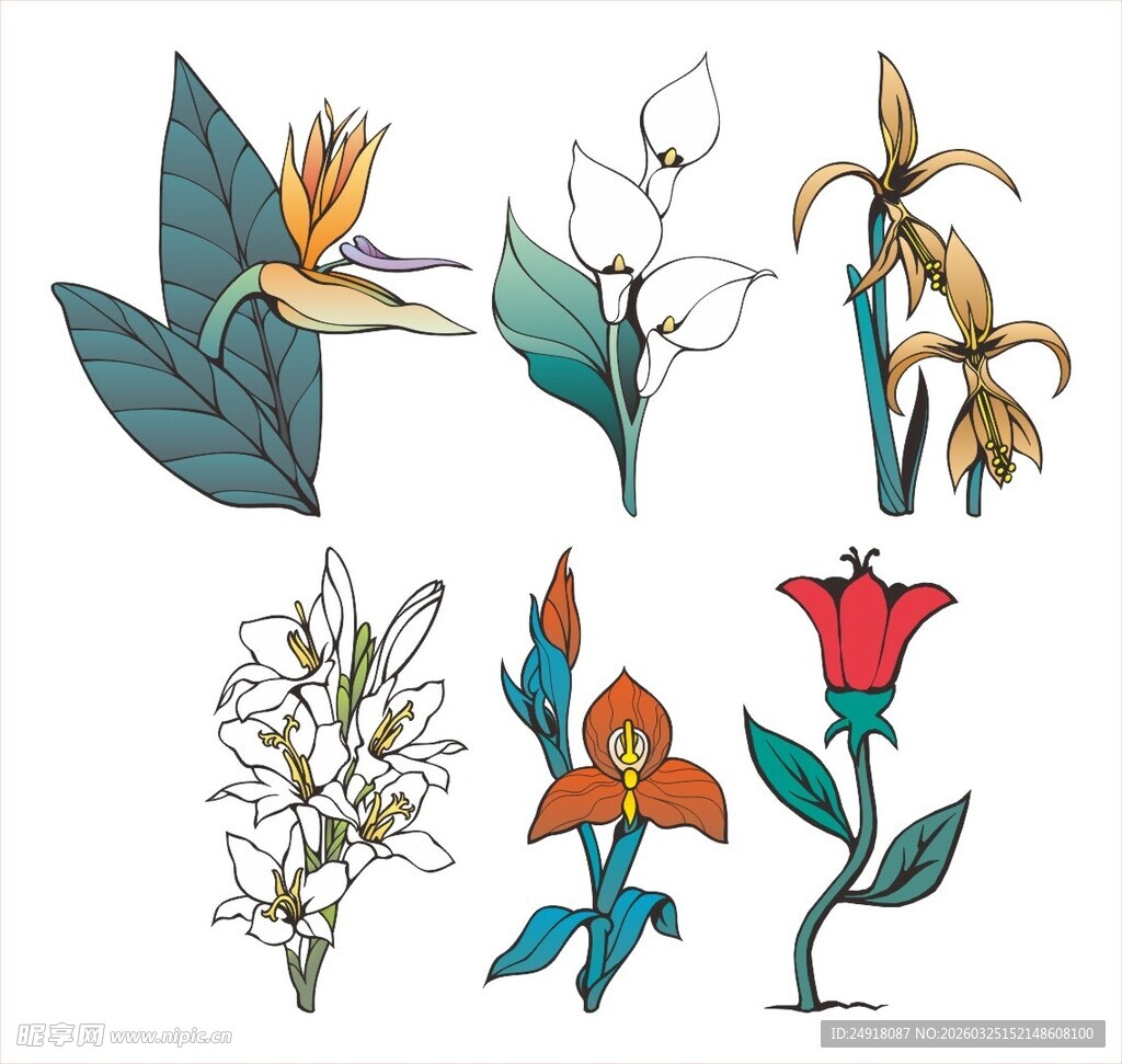 手绘多彩花卉植物图案