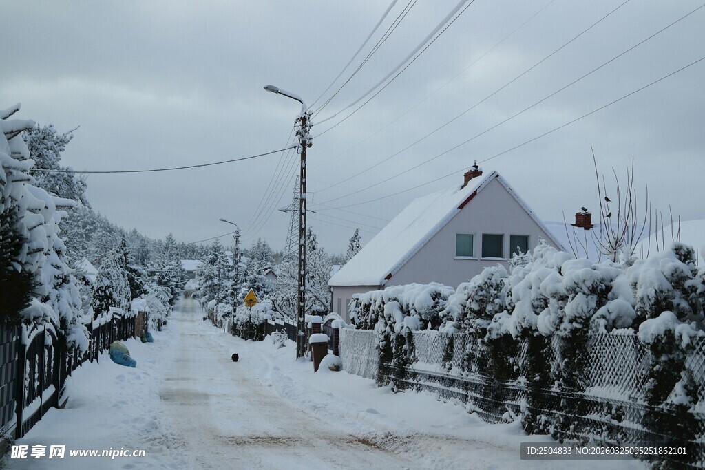 冬日雪覆村庄静谧景象