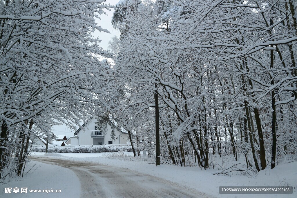 冬日雪林小路