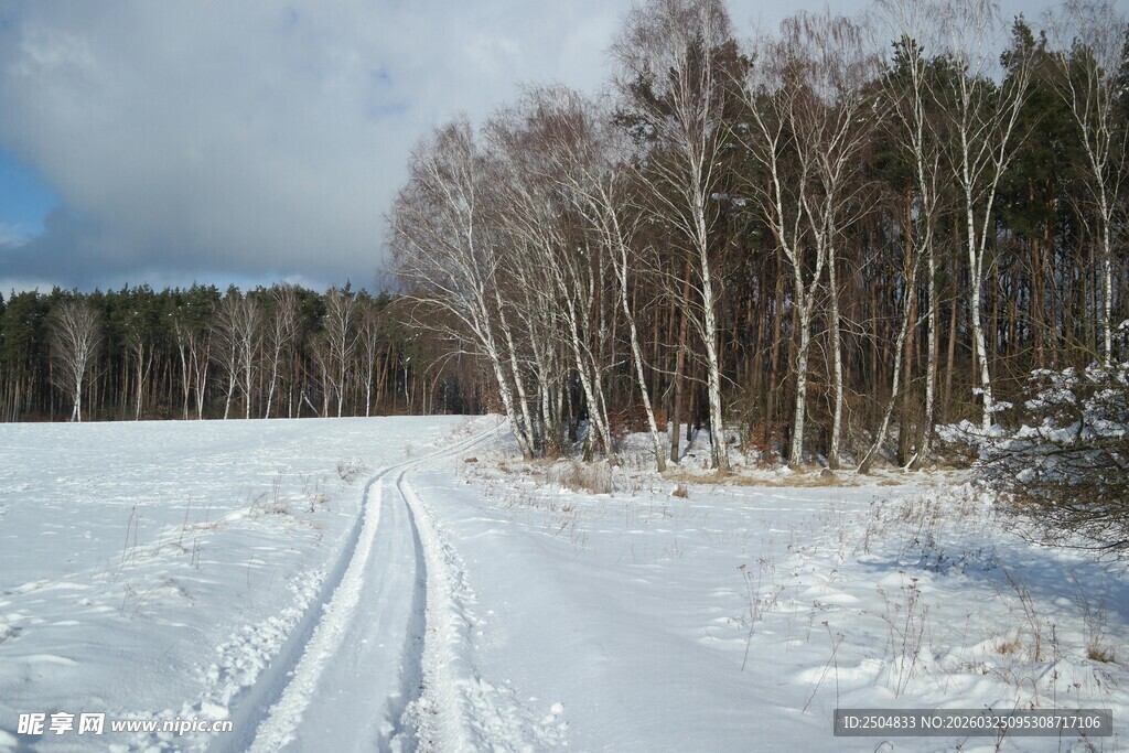 冬日雪野林间车辙之路