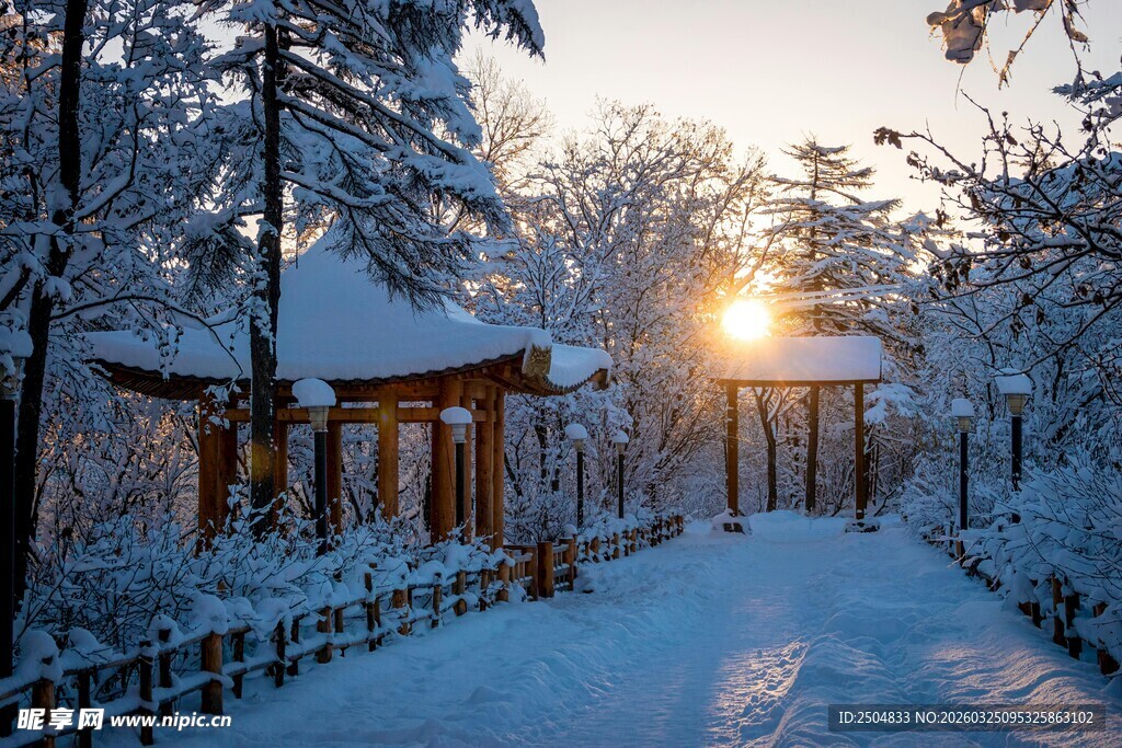 冬日雪林中小屋的静谧美景