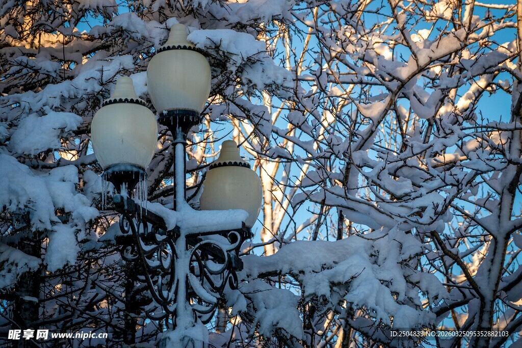 雪覆路灯 冬日静谧景致
