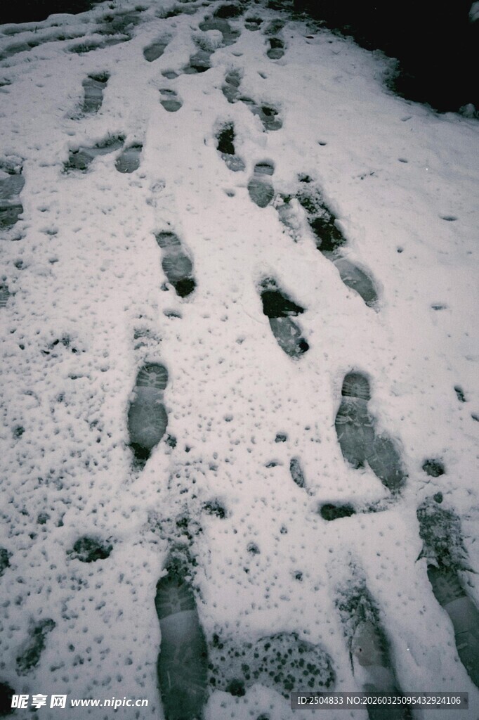 雪地上的串串脚印