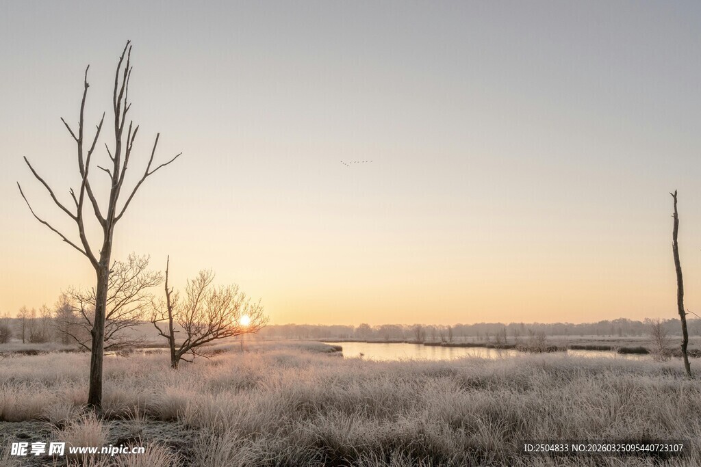 冬日旷野的静谧黄昏景象