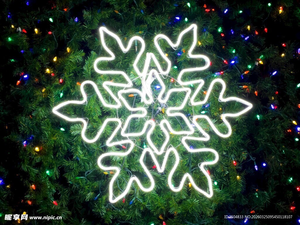 圣诞树上的雪花造型灯饰