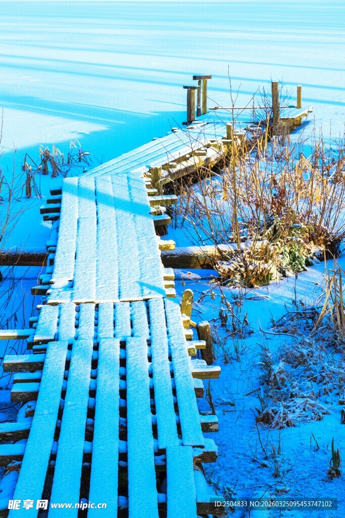 蓝色木栈道延伸至远方