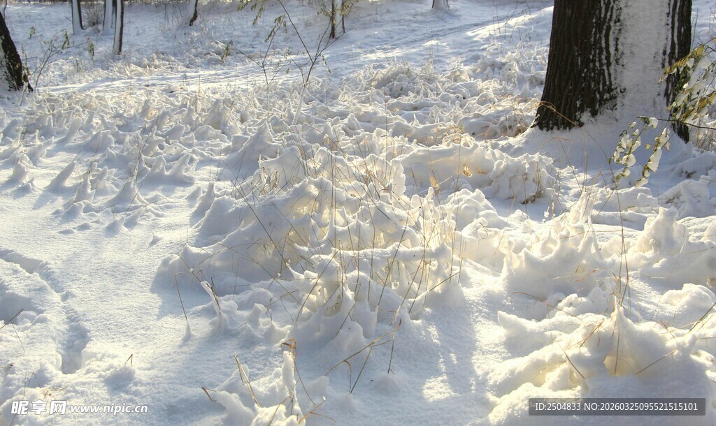 雪地中形态各异的雪堆