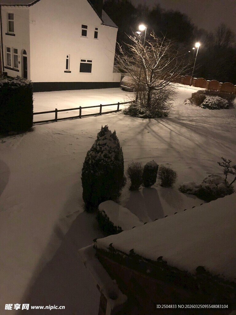 雪夜中的静谧庭院