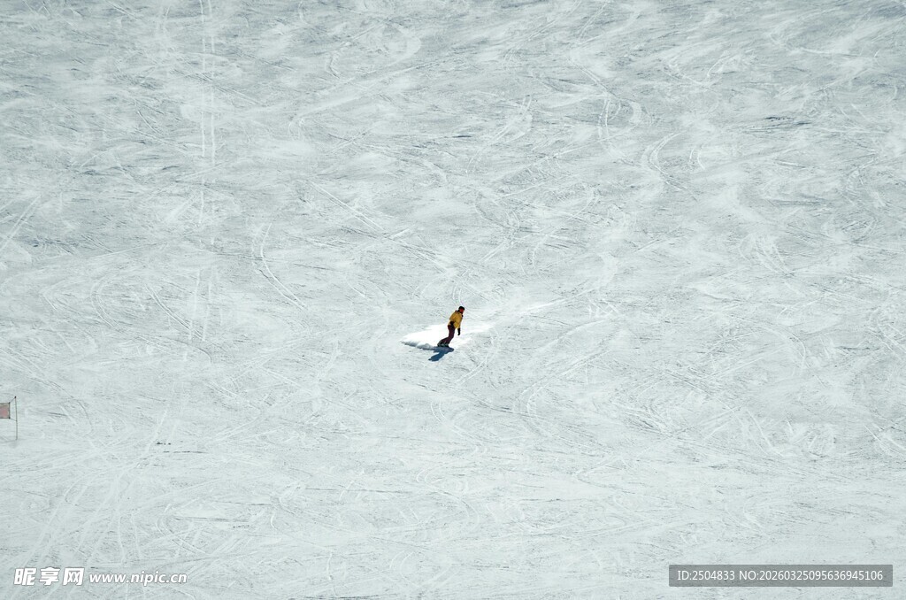 空中翱翔的孤单飞鸟