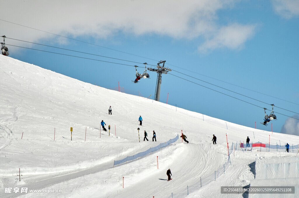 雪坡上的热闹滑雪场景