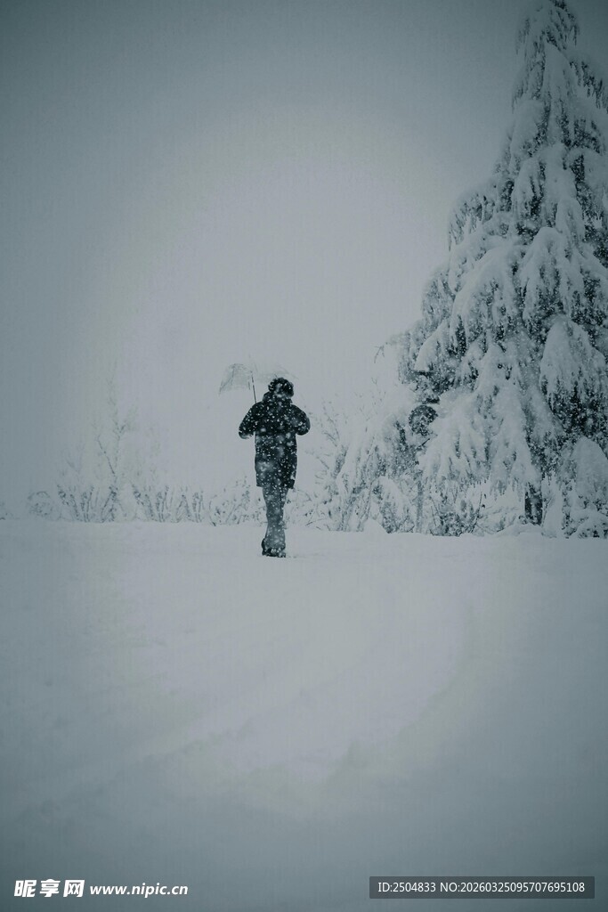 雪地独行的坚毅身影