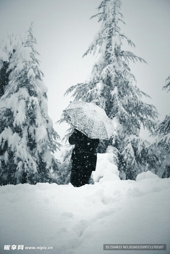 雪中撑伞人 静谧雪景