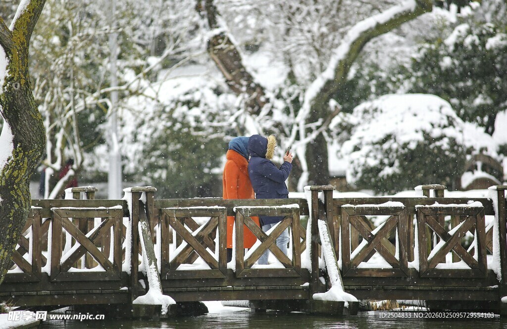 雪后木桥边的多彩景致