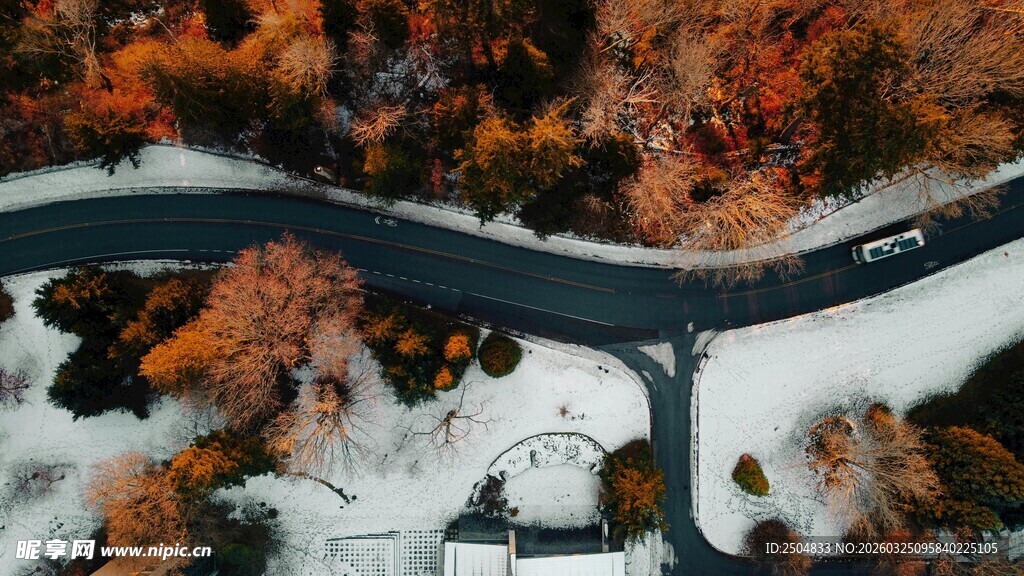冬日雪覆林间蜿蜒公路