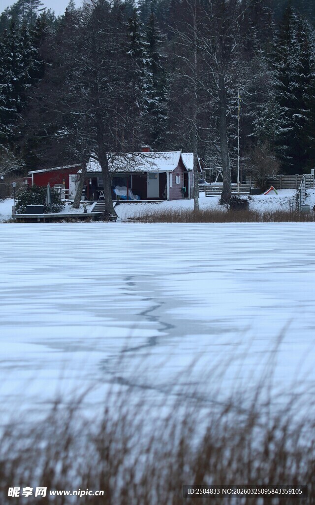 冬日雪覆田野与林间小屋