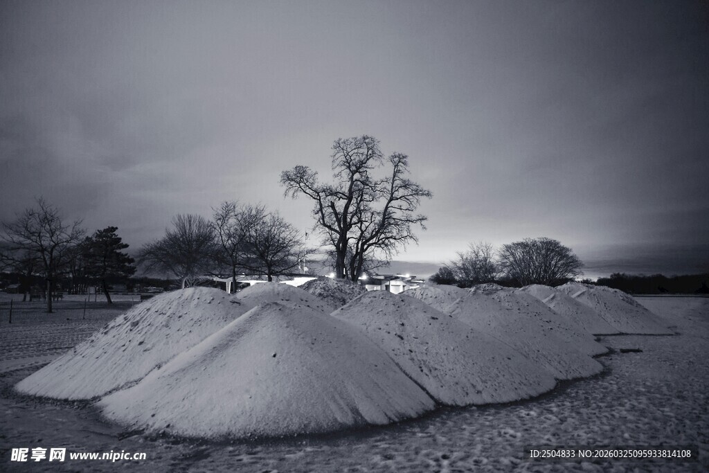 雪野孤树 静谧冬日景象