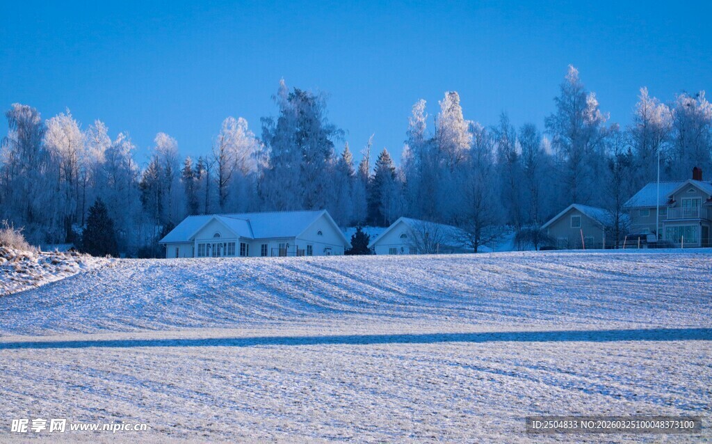 冬日雪景中的静谧乡村