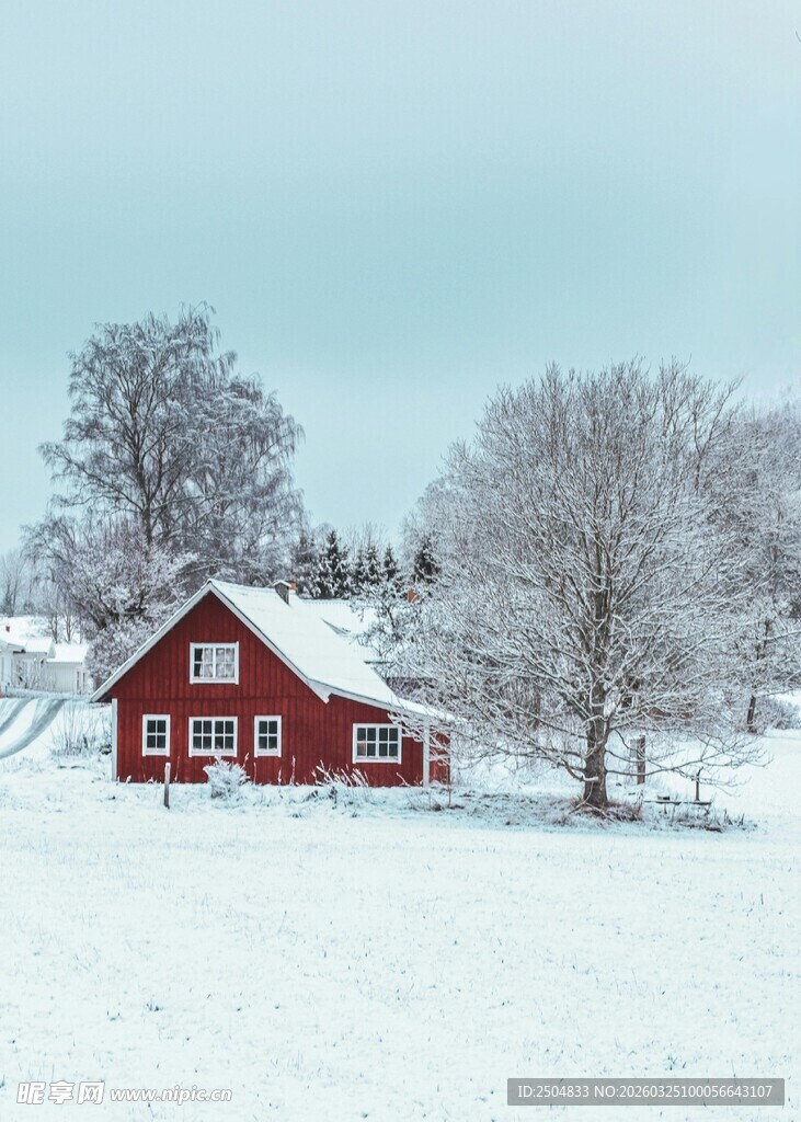 雪覆红屋 冬日静谧美景