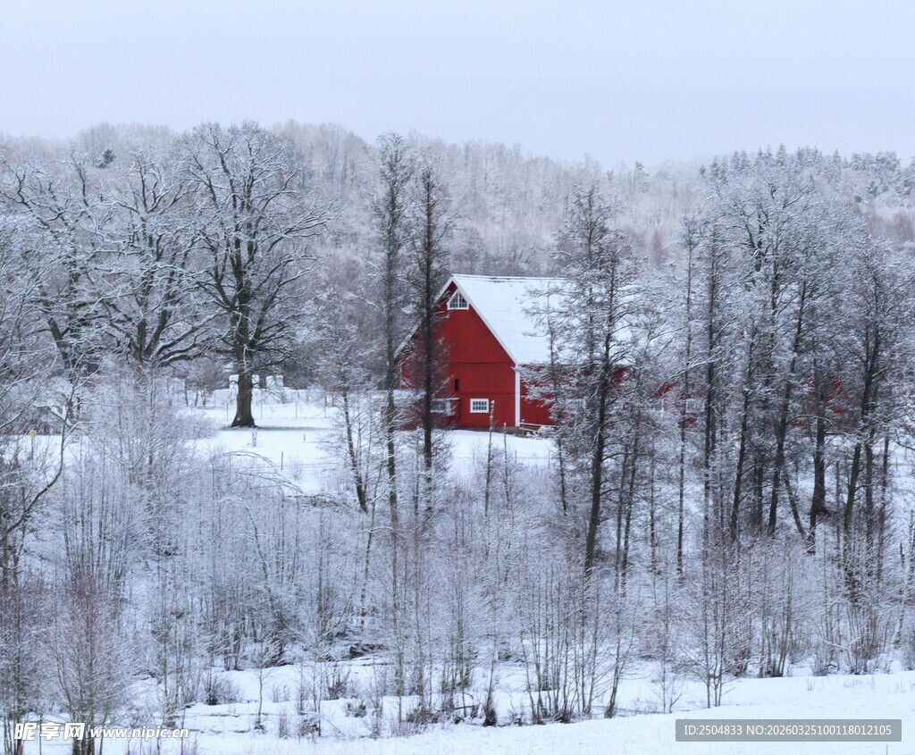冬日雪林里的红色小屋