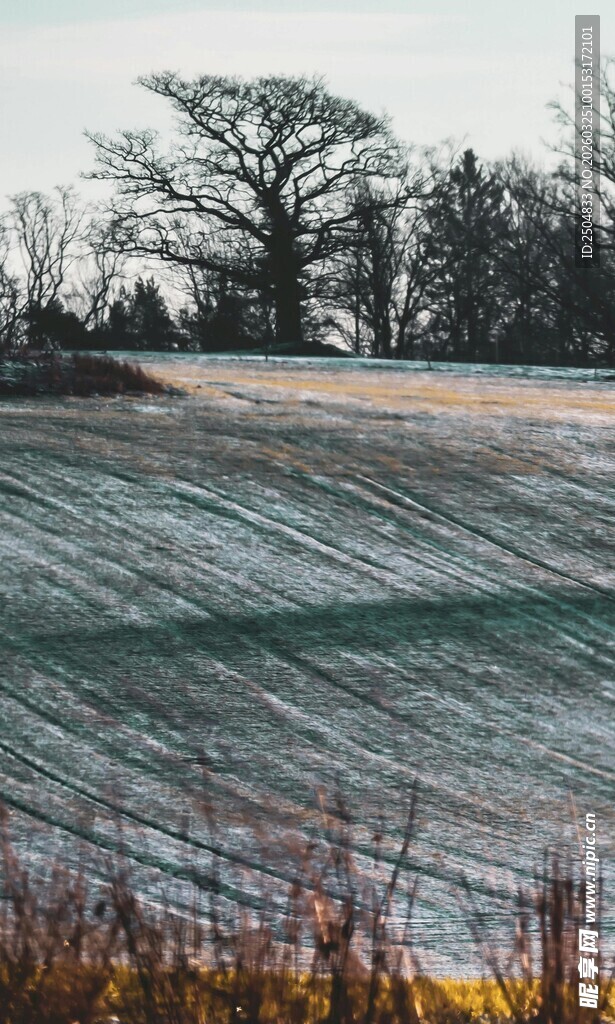 冬日田野风景