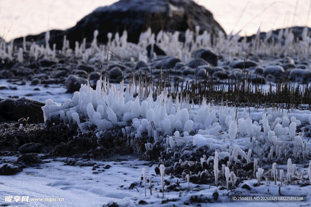 冬日冰雪覆盖的荒野景象