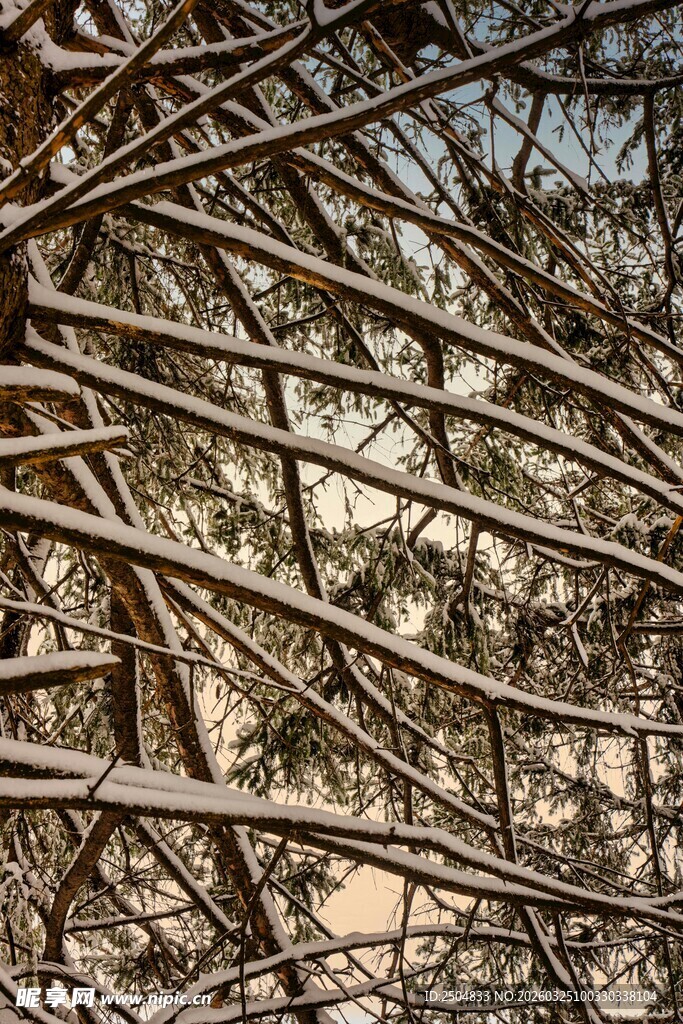 交错的金属杆结构