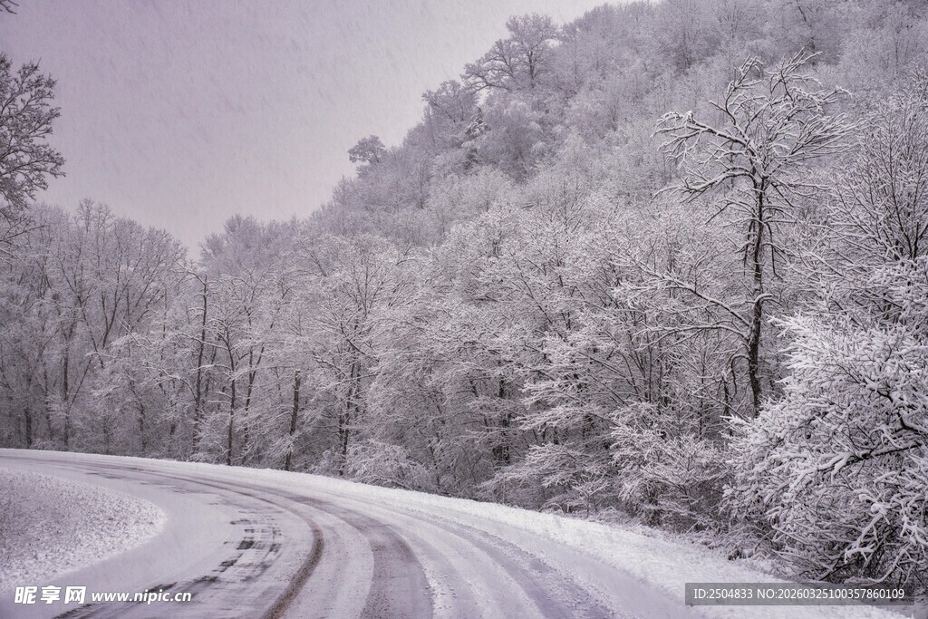 雪覆山林中的蜿蜒雪路