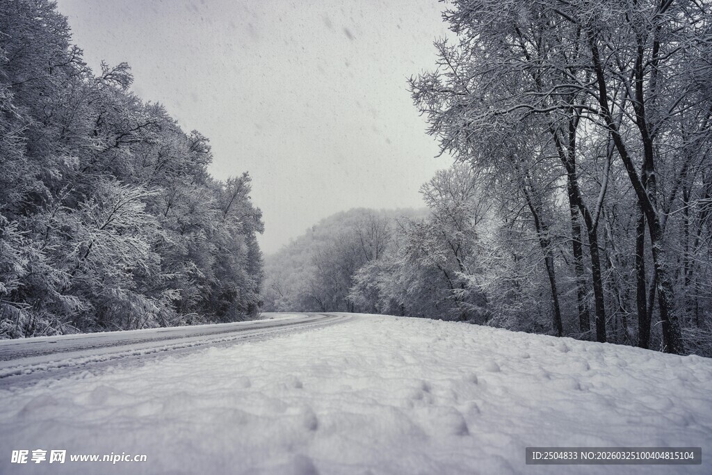 冬日雪景中的静谧林间小道