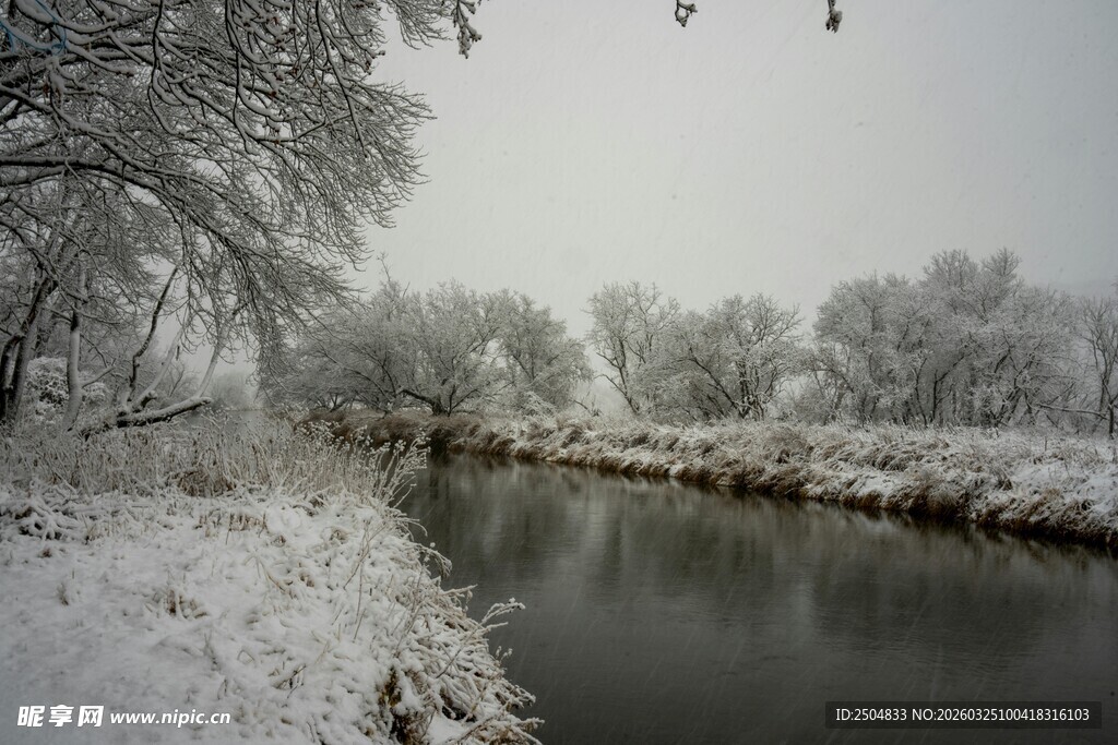 冬日雪覆河岸的静谧景象