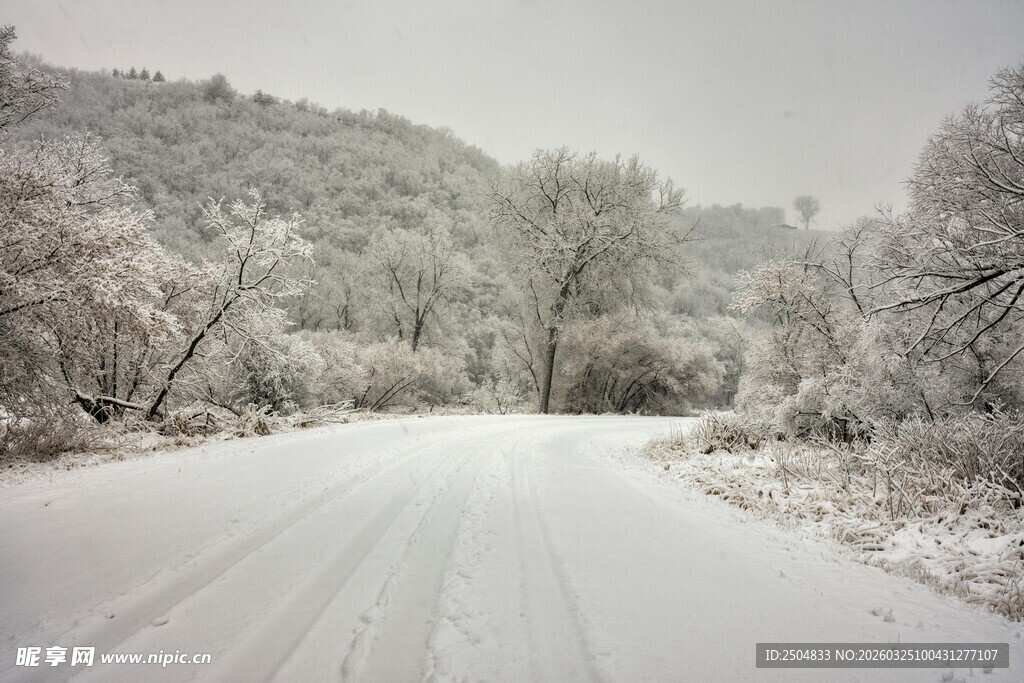 冬日雪覆山路美景