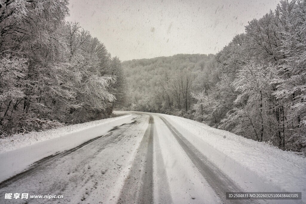冬日雪覆公路美景